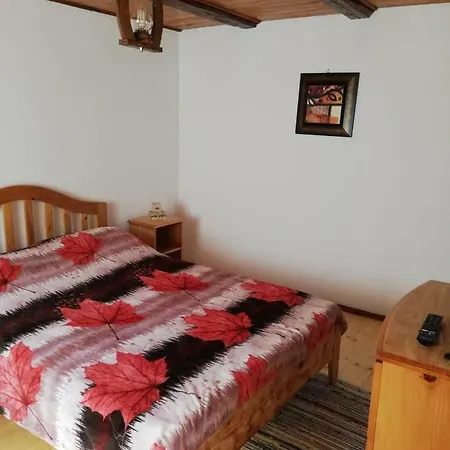 Homestay Rustic *